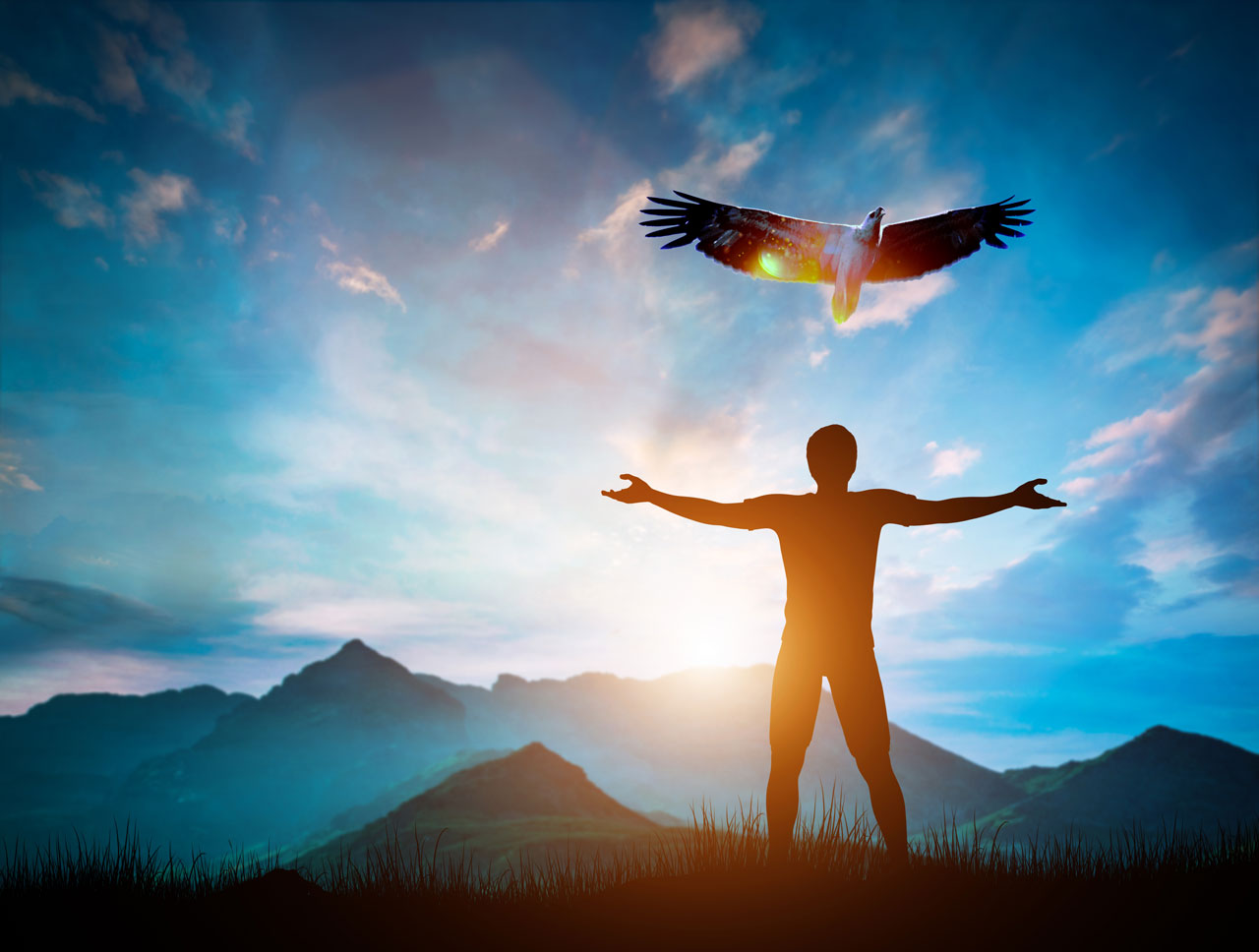 jung-wie-ein-Adler
