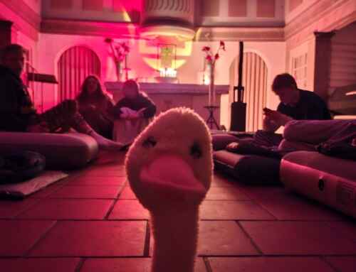 Helmut stellt sich vor